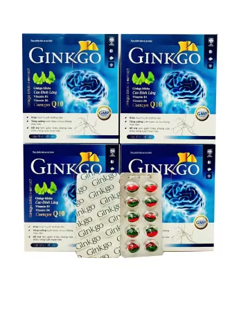 Ginkgo Biloba Extra Coenzym Q10